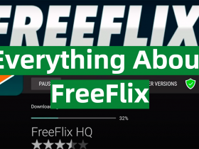 Everything You Need to Know Before Using FreeFlix
