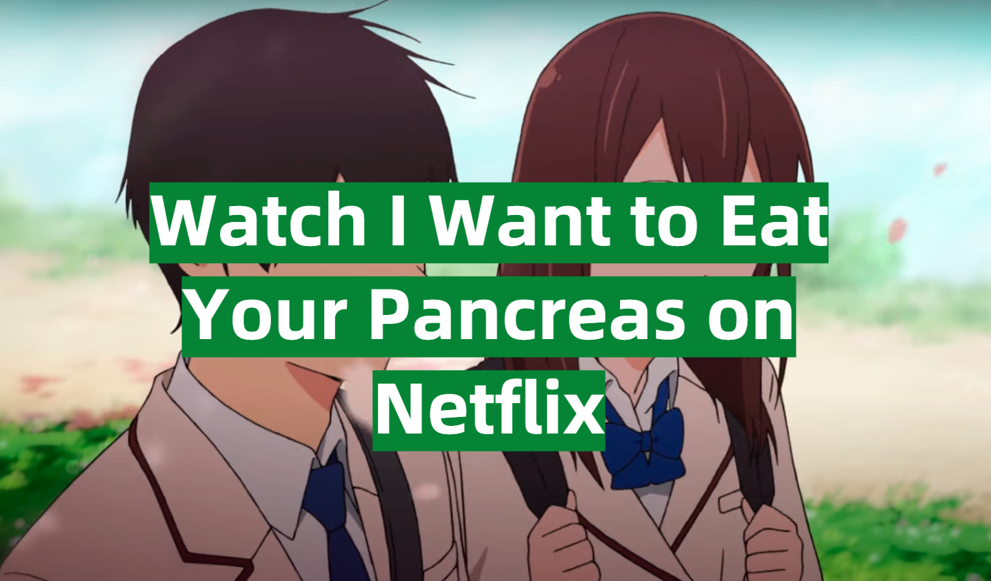 Watch I Want to Eat Your Pancreas on Netflix - VPNProfy