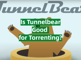 Is Tunnelbear Good for Torrenting?