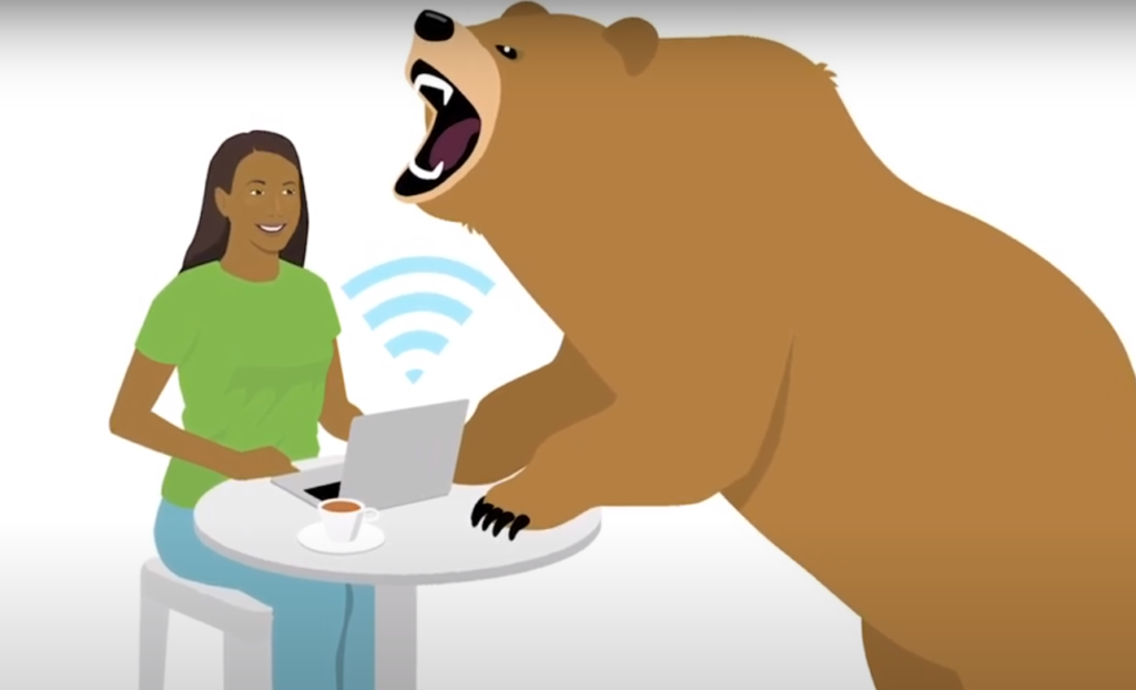 Does Tunnelbear Allow Torrents?